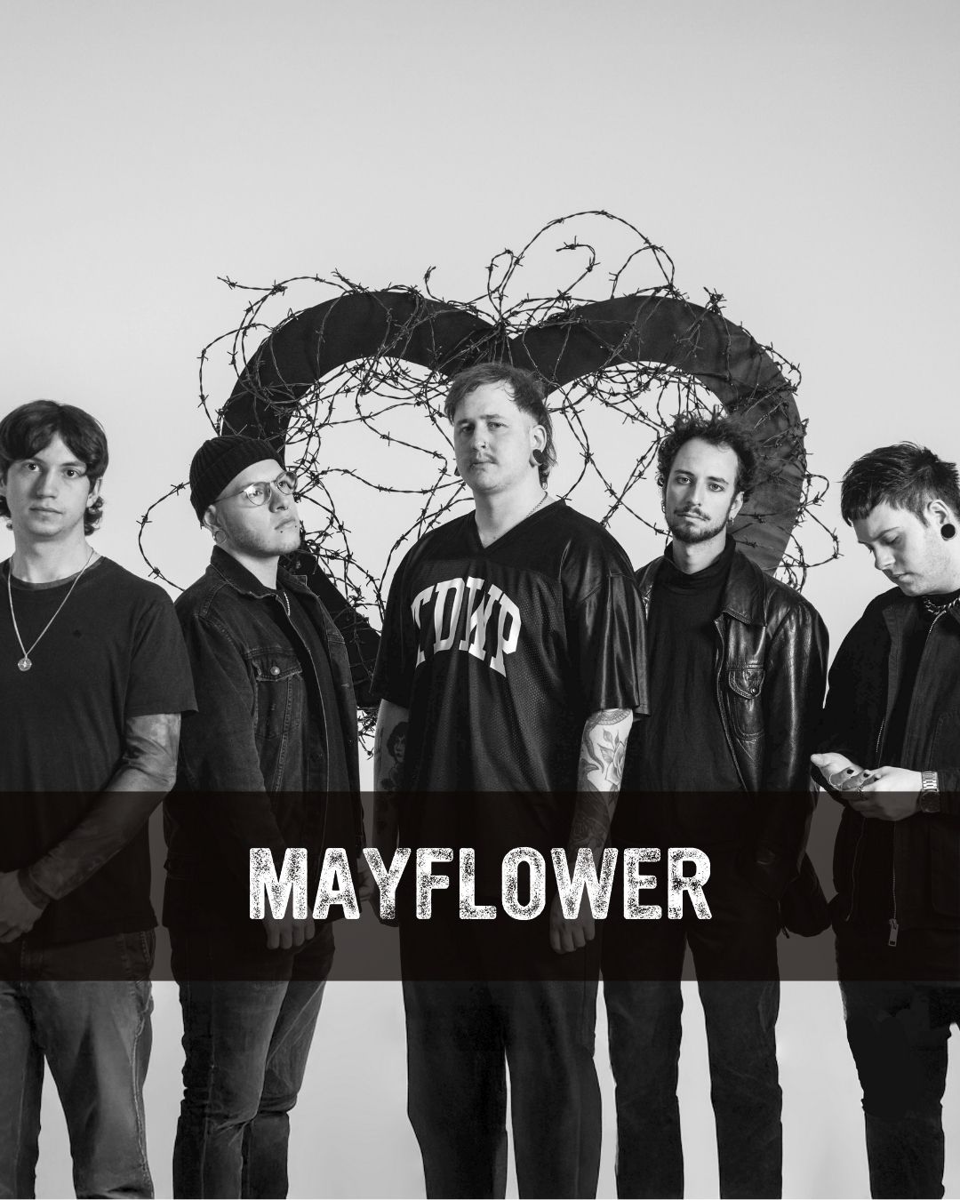 Instagram Bandbild Mayflower - Mit Bandamen im Bild