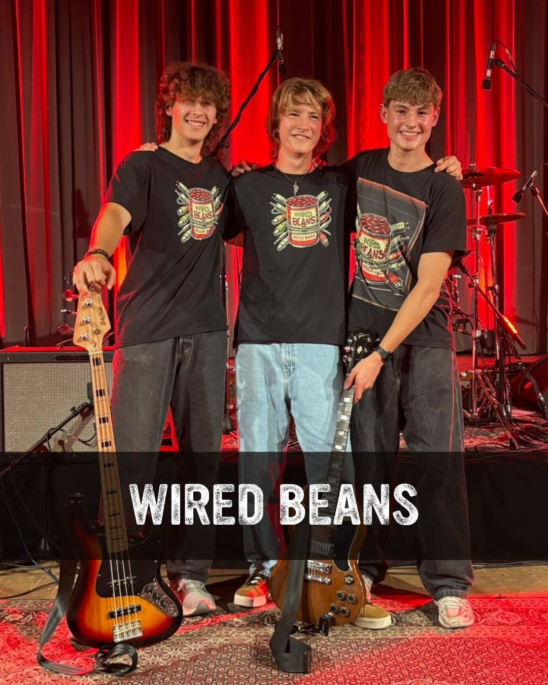 17_Kachel_SO_WiredBeans